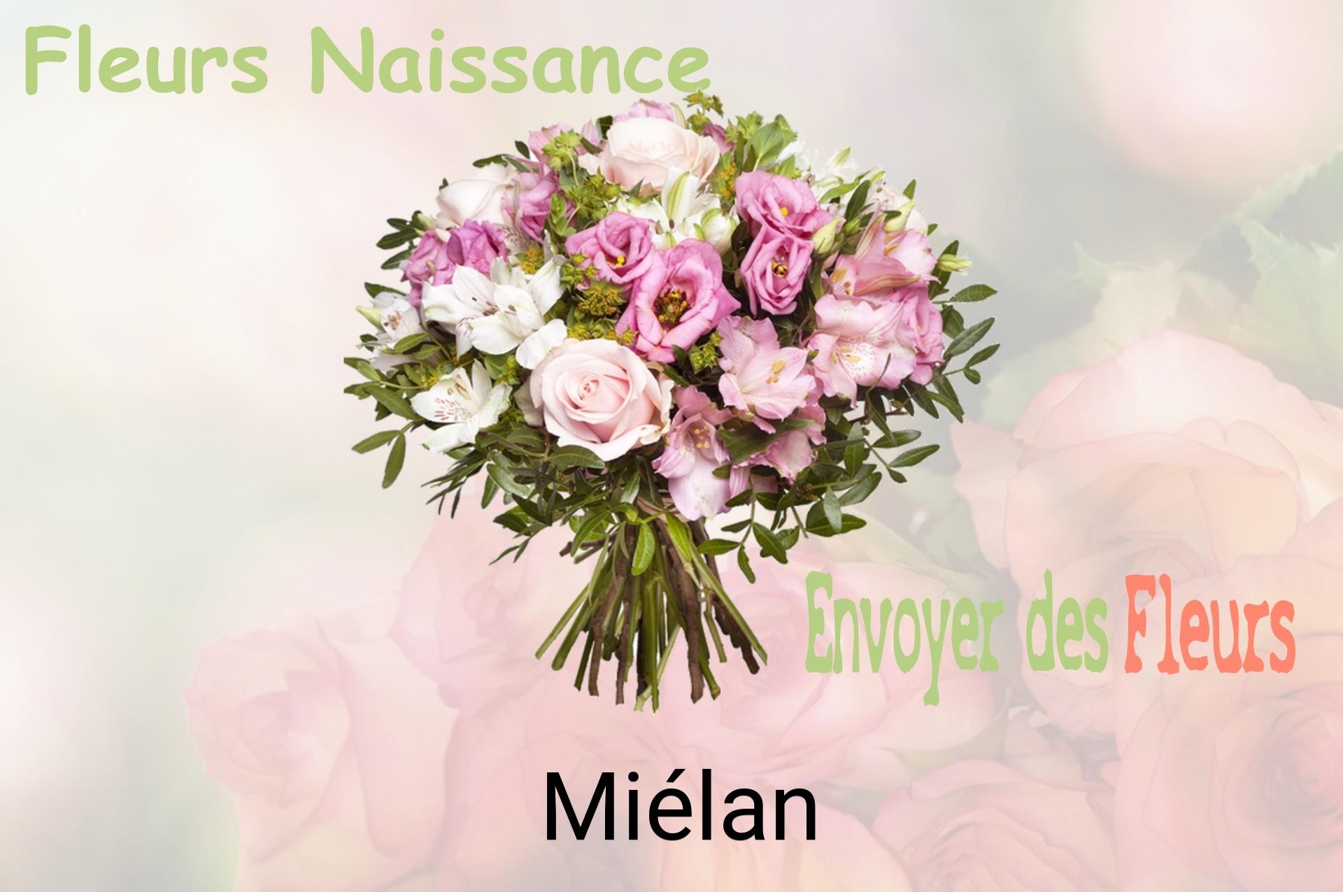 Bouquet de fleurs de naissance livré à Miélan