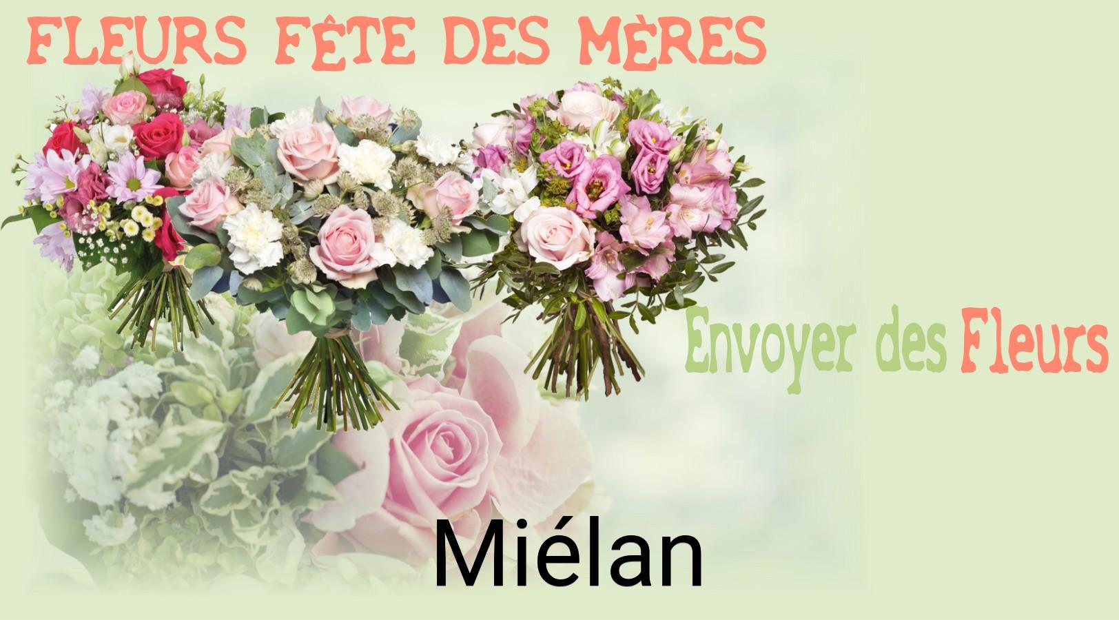 Bouquet de Fête des Mères livré à Miélan